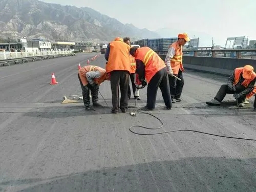 长丰道路桥梁病害治理